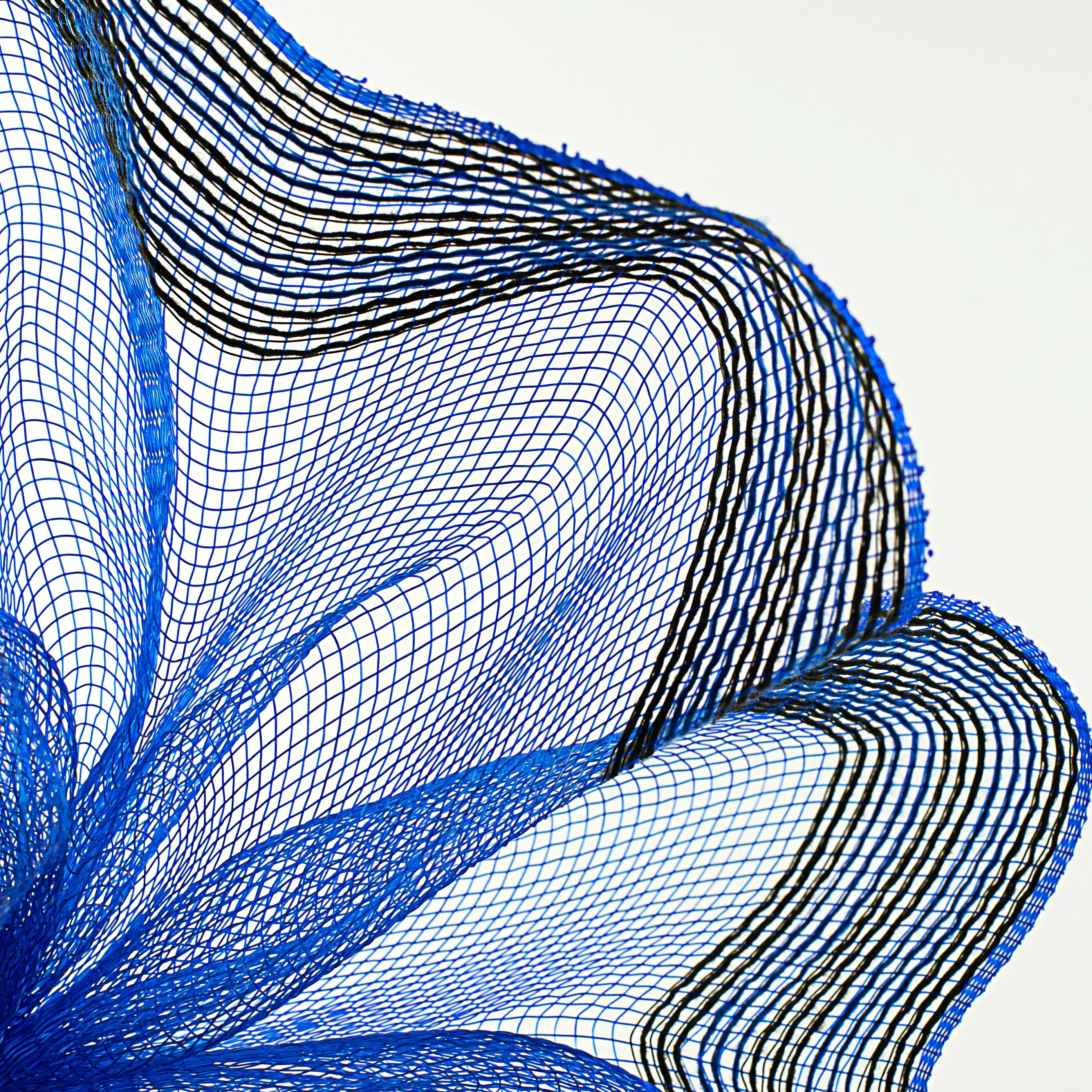 10" Border Stripe Mesh: Royal Blue & Black