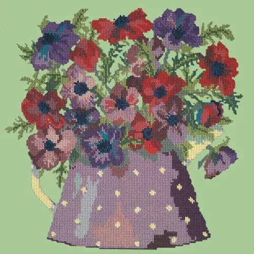 Anemone Pitcher