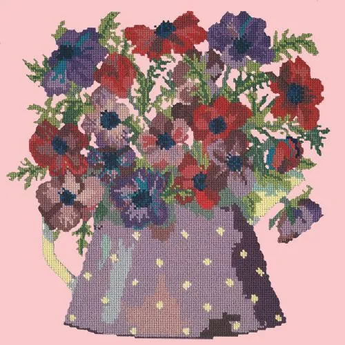 Anemone Pitcher