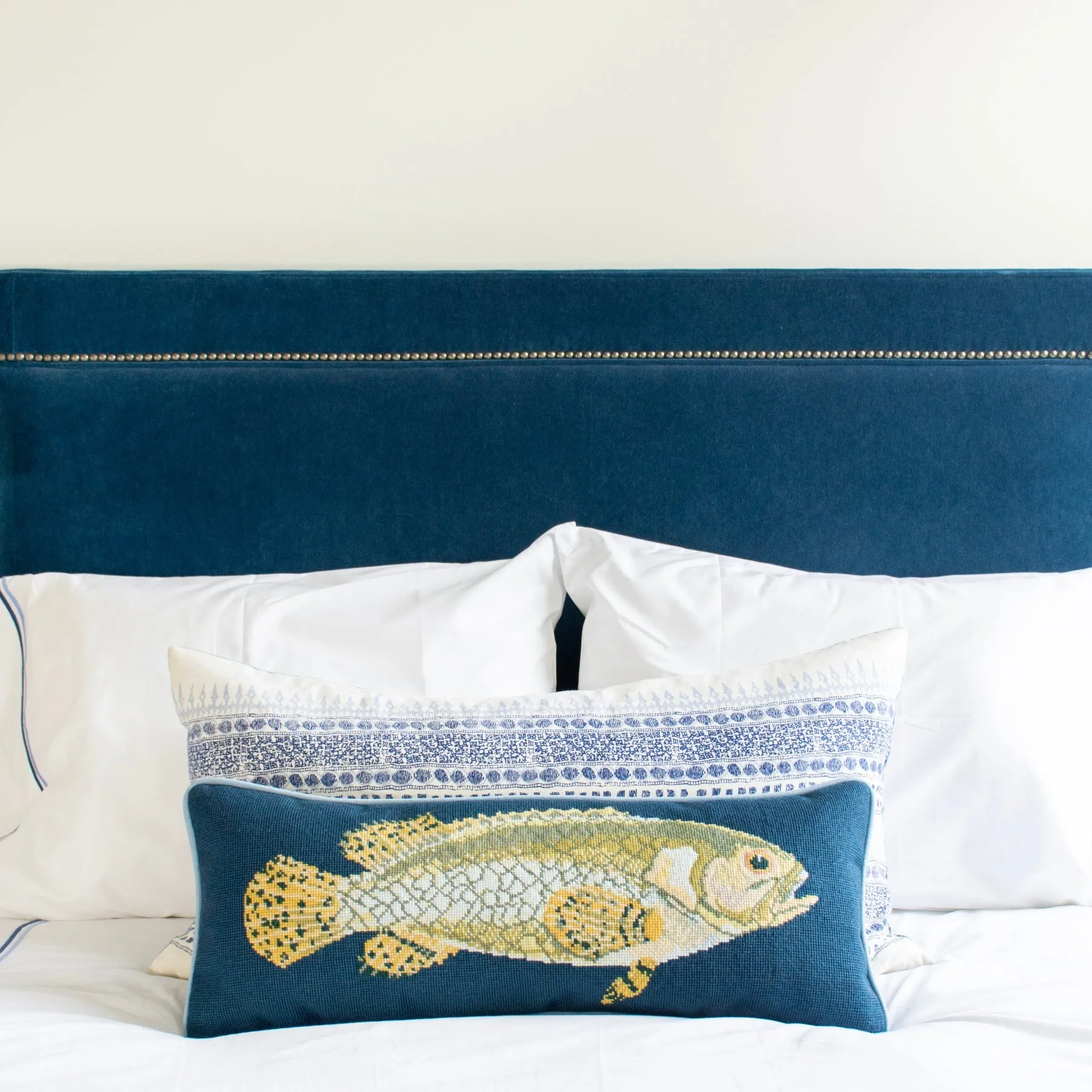 Brindled Grouper