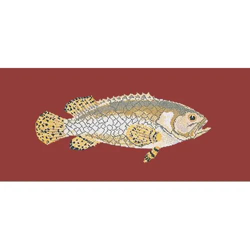 Brindled Grouper