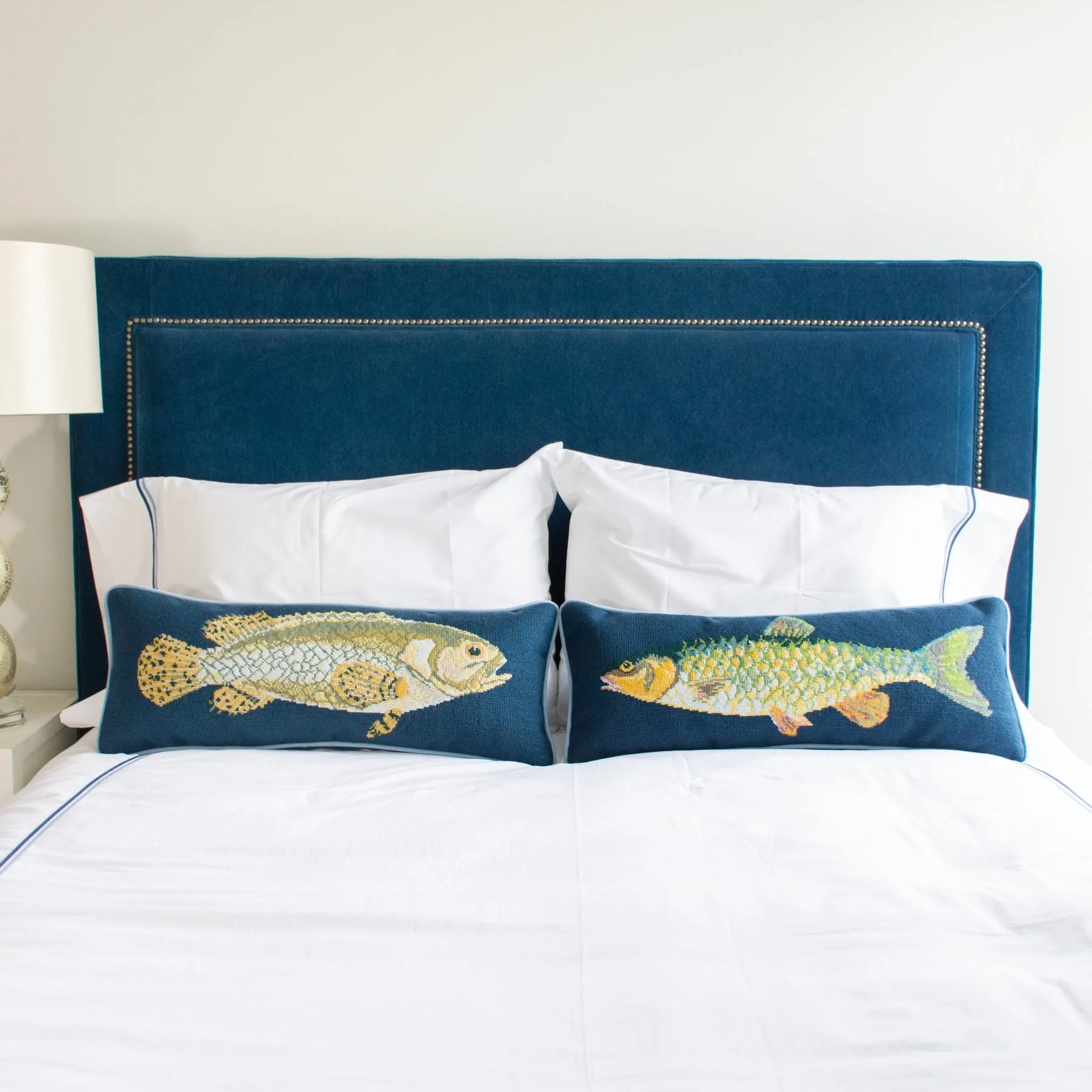 Brindled Grouper