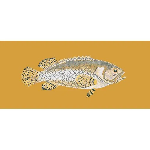 Brindled Grouper