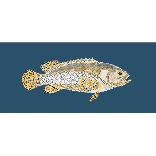Brindled Grouper