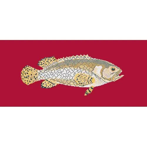 Brindled Grouper