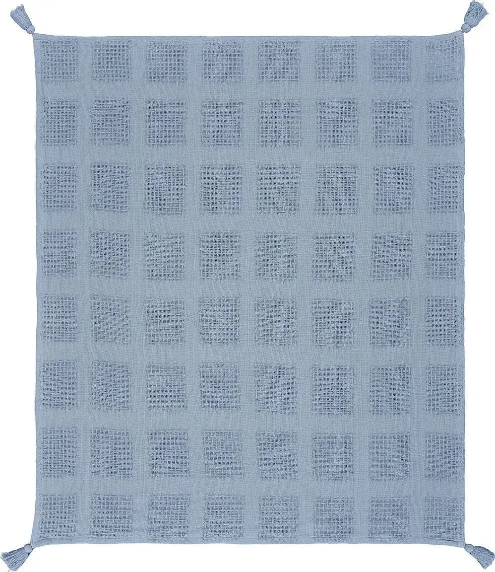 Charming Light Blue LR80160 Throw Blanket