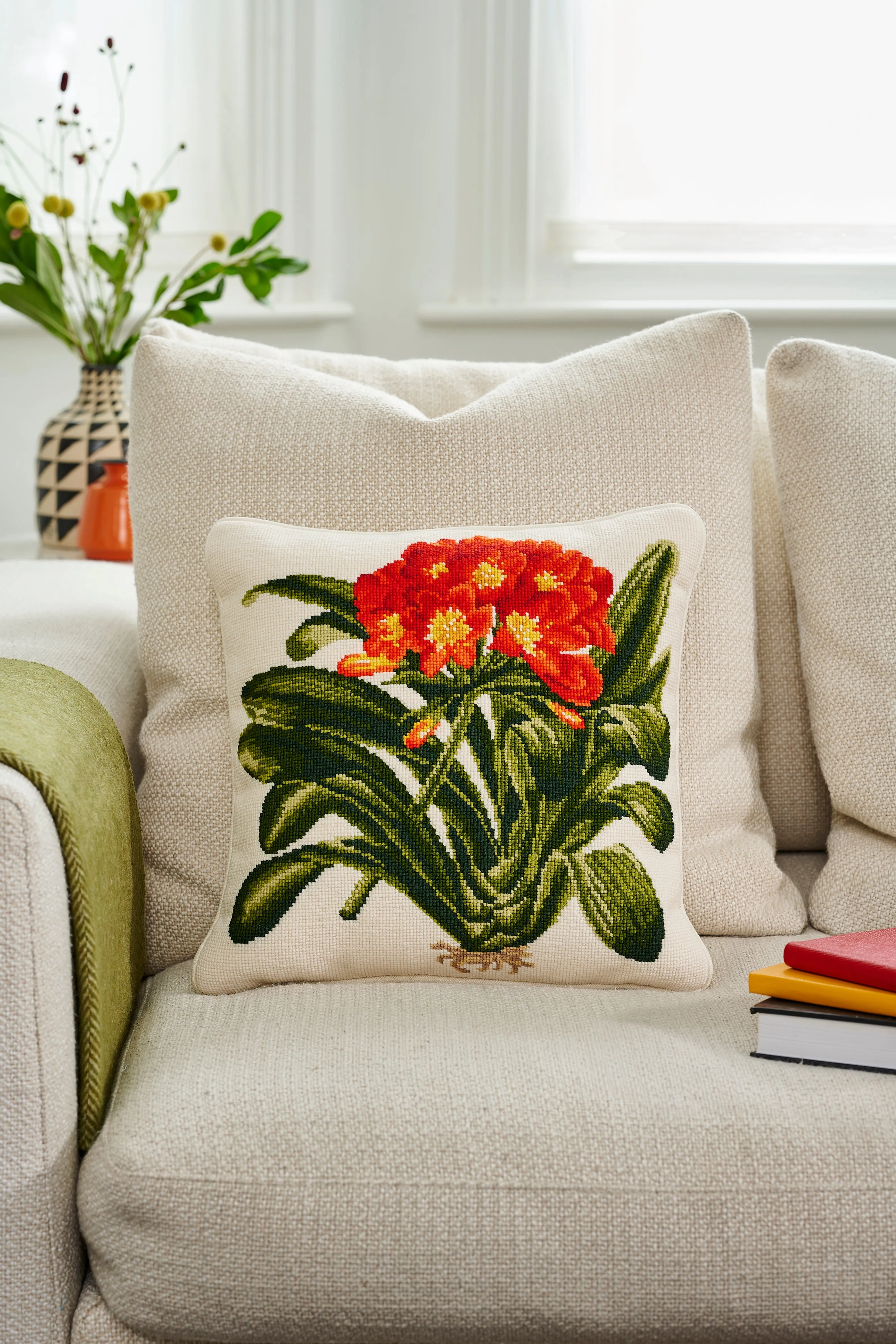 Clivia