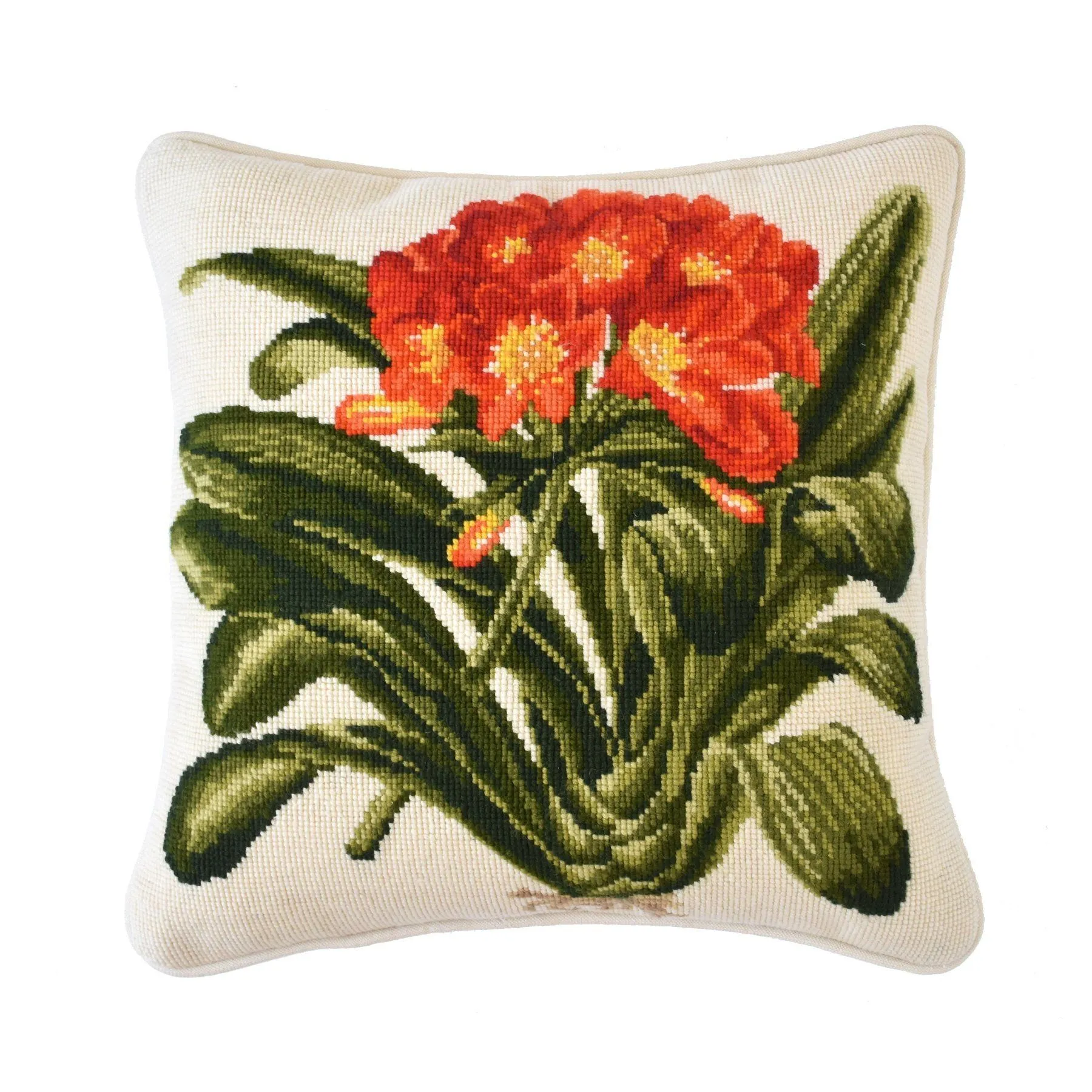 Clivia
