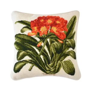 Clivia