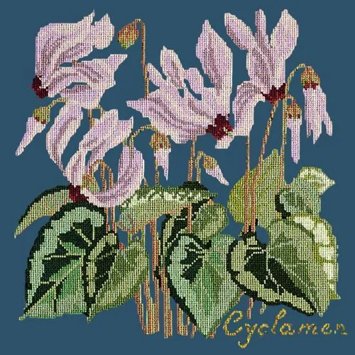 Cyclamen