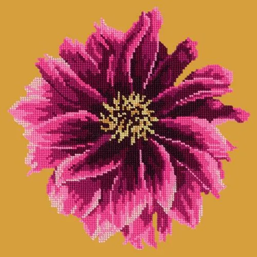 Dahlia