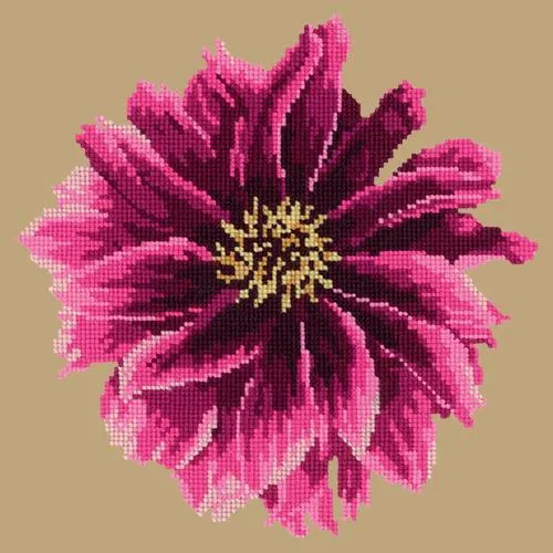 Dahlia
