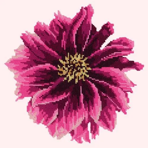 Dahlia