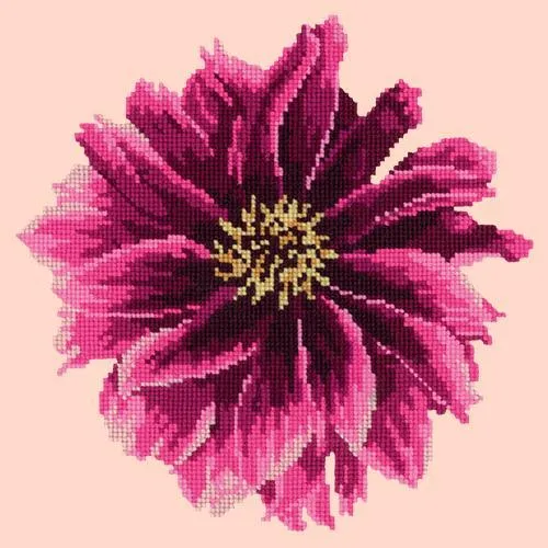 Dahlia