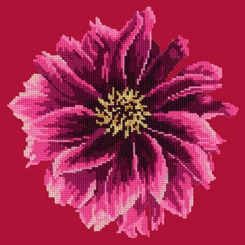 Dahlia