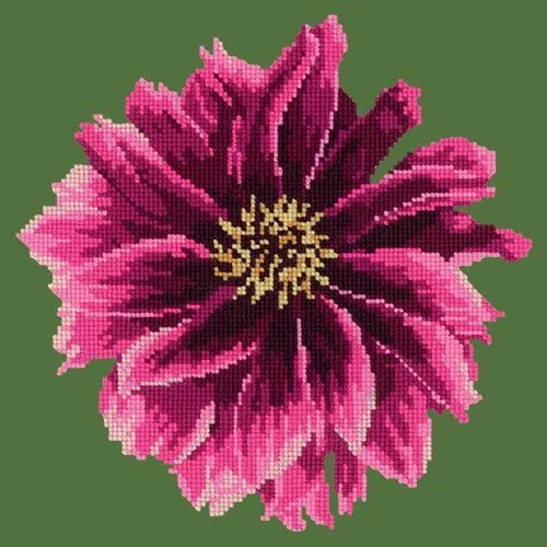 Dahlia