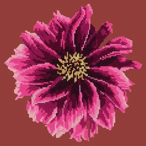 Dahlia