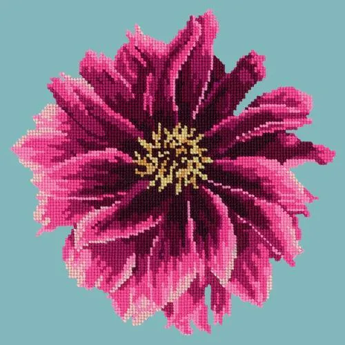 Dahlia