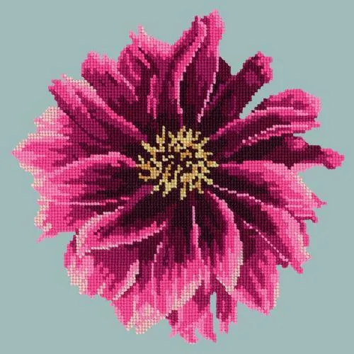 Dahlia