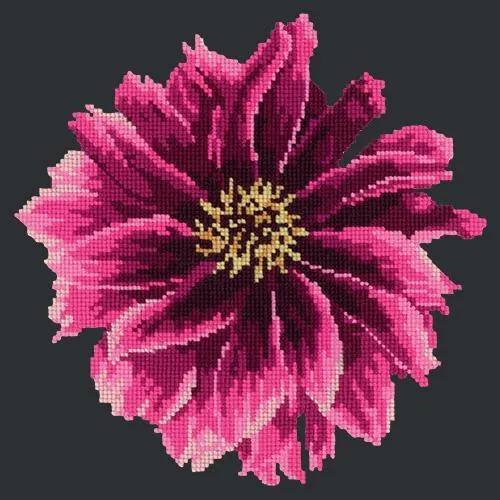 Dahlia