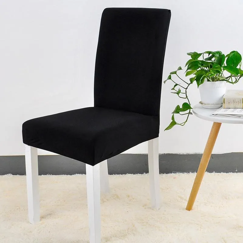Elegant Style Multi-colored Chair Cover