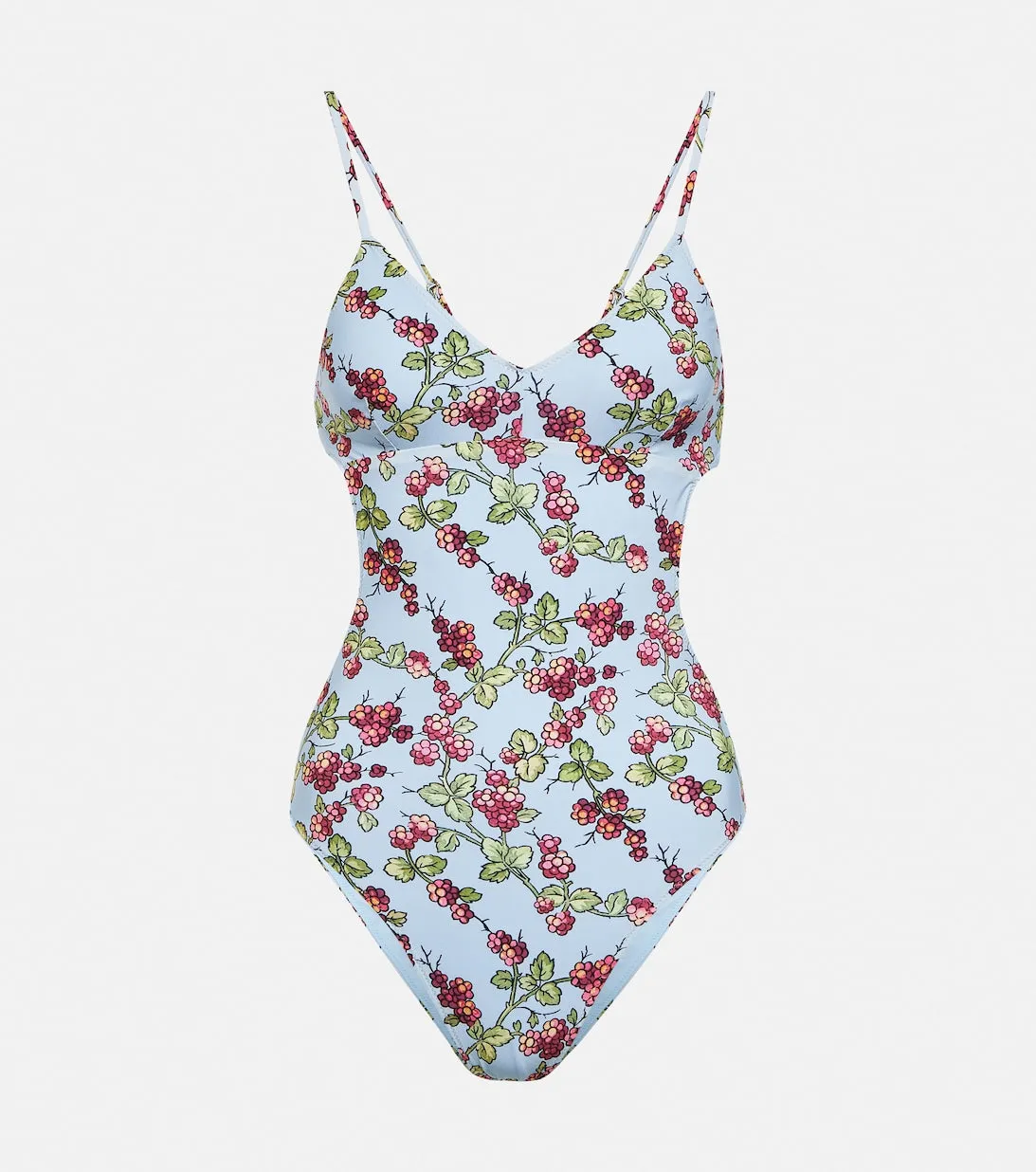 ETRO floral swimsuit, multi-colored