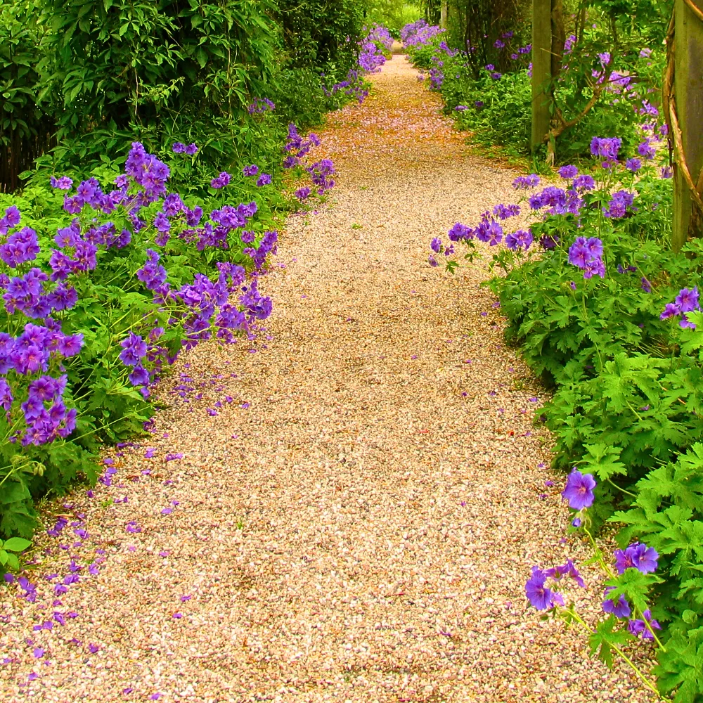 Golden Gravel Chippings