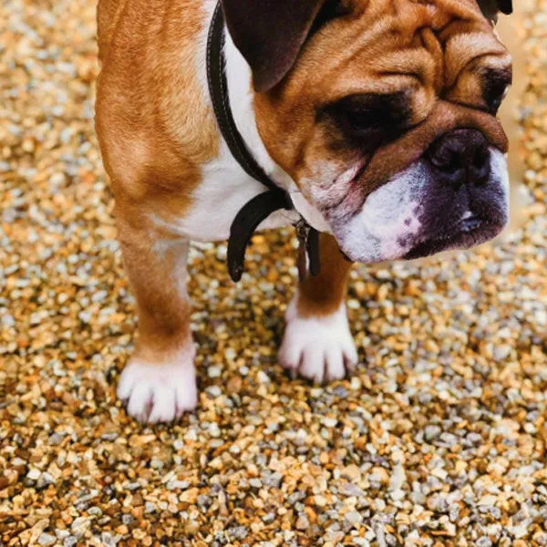 Golden Gravel Chippings