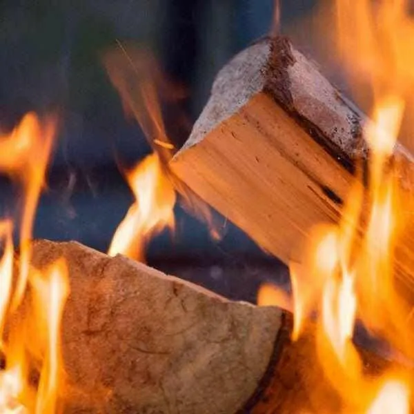 Hardwood Kiln Dried Logs Bulk Bag
