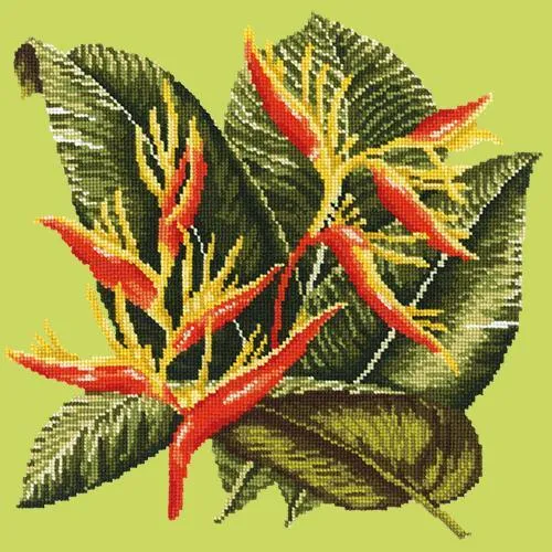Heliconia