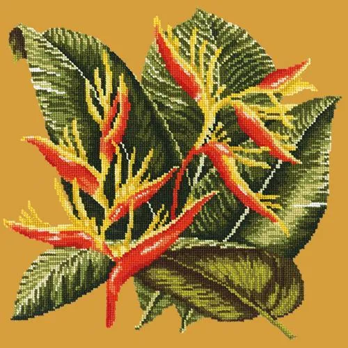 Heliconia
