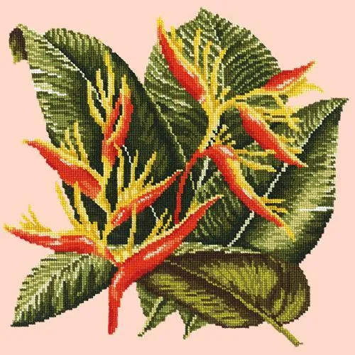 Heliconia