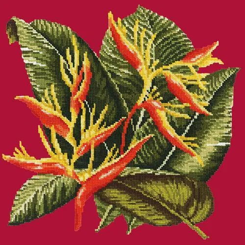 Heliconia