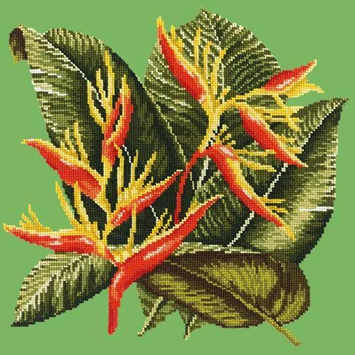 Heliconia