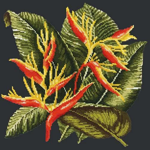 Heliconia