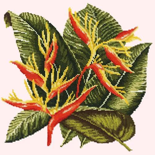 Heliconia