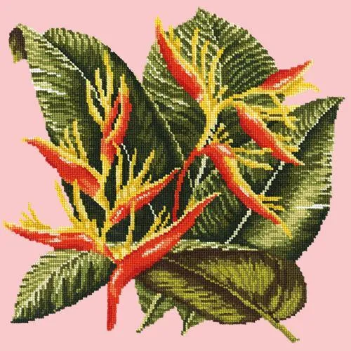Heliconia