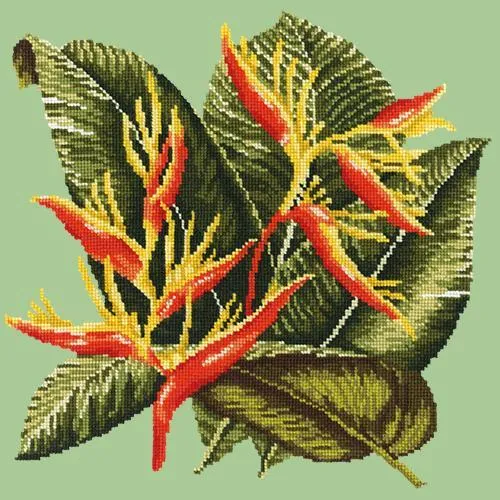 Heliconia
