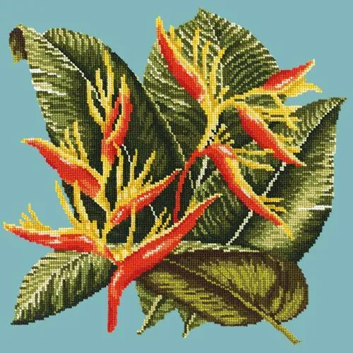 Heliconia