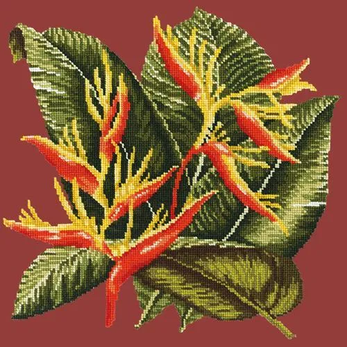 Heliconia