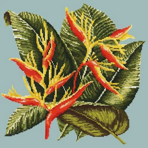 Heliconia