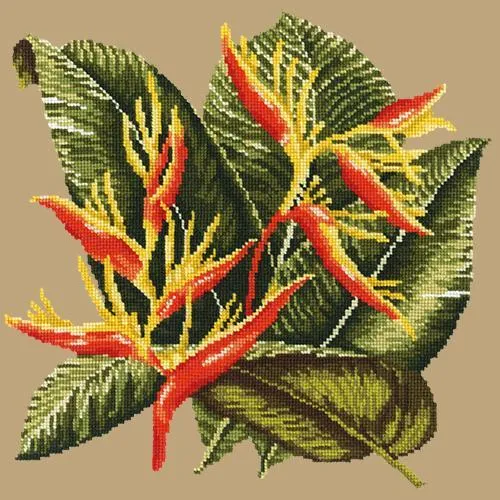 Heliconia