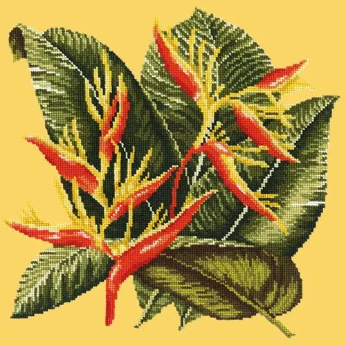 Heliconia