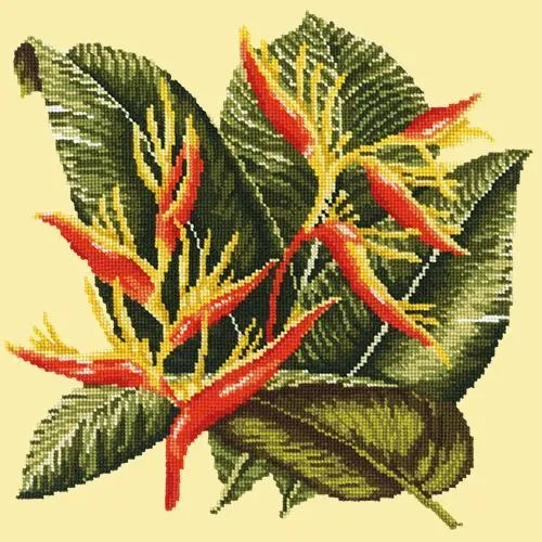 Heliconia