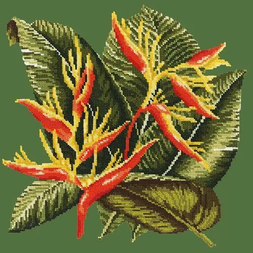 Heliconia