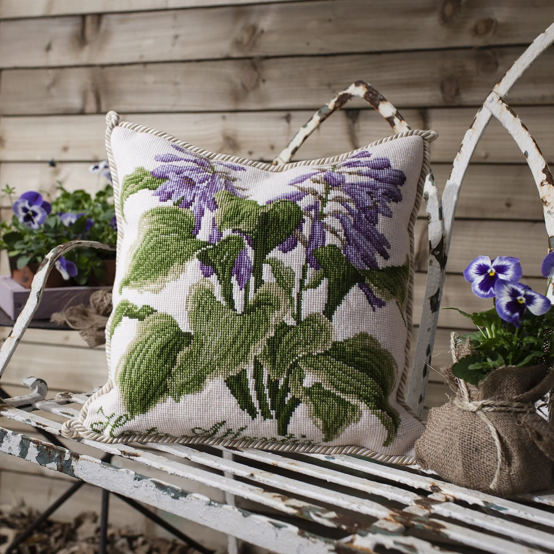 Hosta Atlantis