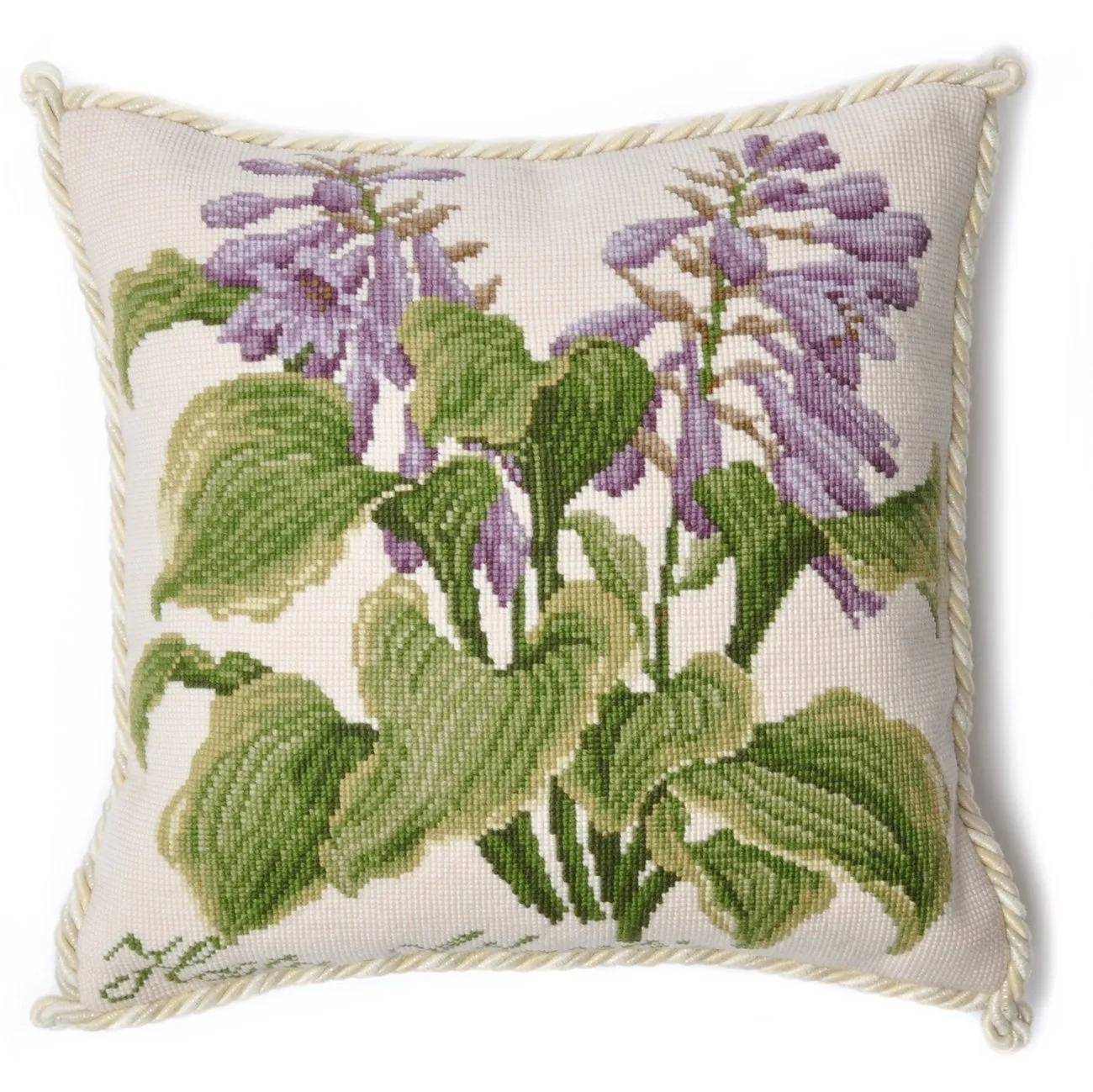 Hosta Atlantis