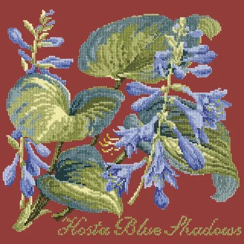 Hosta Blue Shadows
