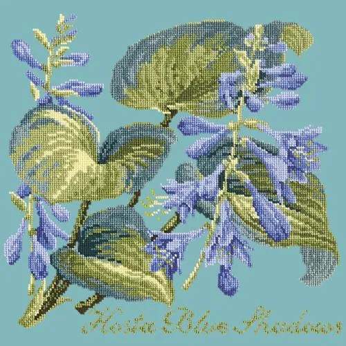 Hosta Blue Shadows