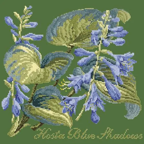 Hosta Blue Shadows